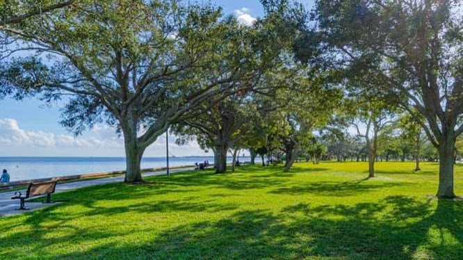 Waterfront green space at Flora Wylie Park in St. Petersburg